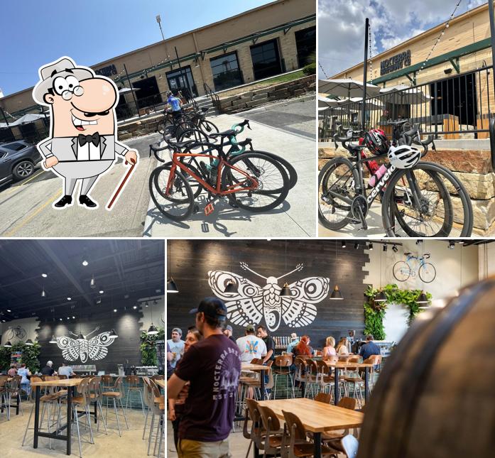 Nocterra Brewing Co. - Audubon