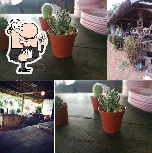 ร้านตำป่าเจ้ไพ สังซา