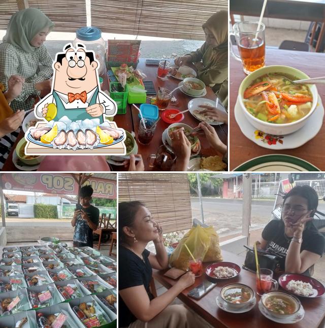 Raja SOP