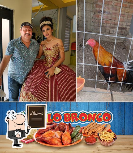 El Pollo Bronco