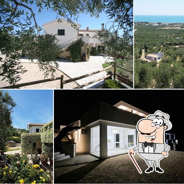 Agriturismo le fronde