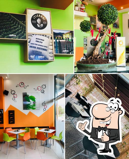 Orange Cafè