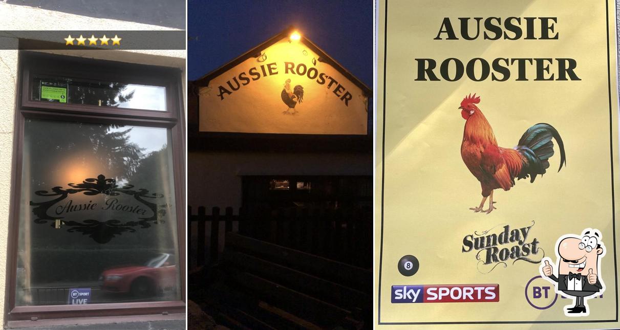 Aussie Rooster