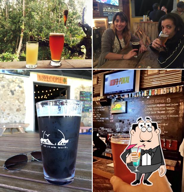 Boquete Brewing Company
