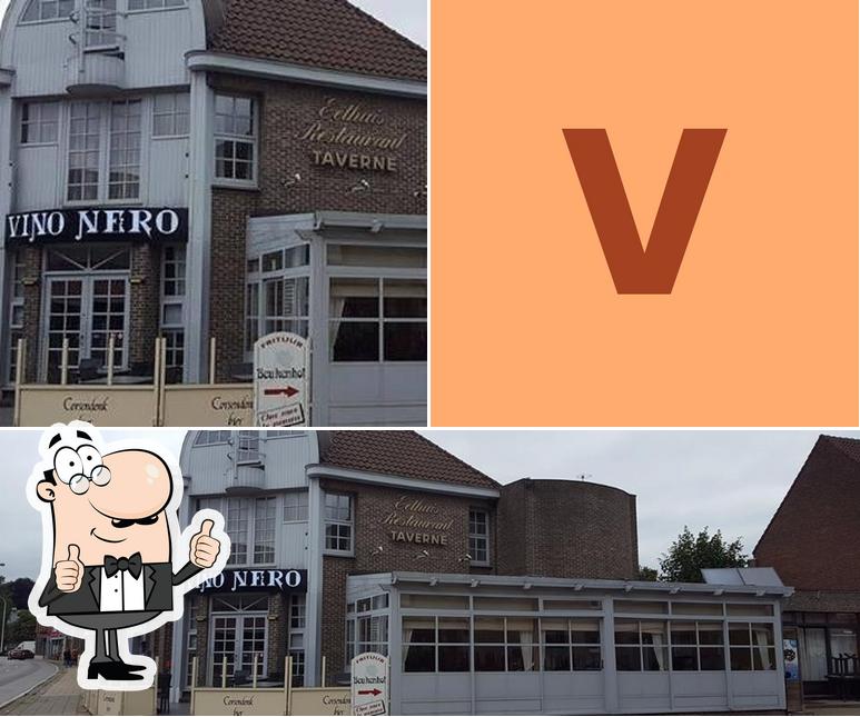 Vino Nero Kasterlee