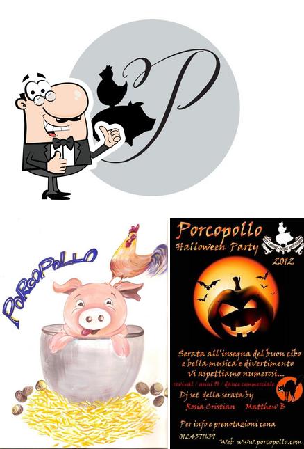 Porcopollo