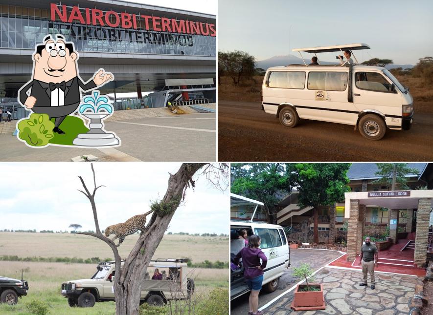 Savannah Adventures Ltd (Tour Operator Nairobi)