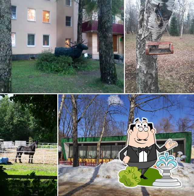 Кафе