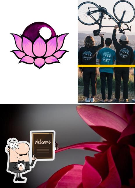 Lotus Cafe