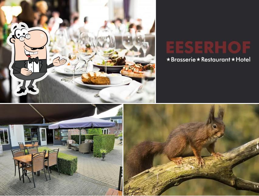 Hotel Restaurant Eeserhof