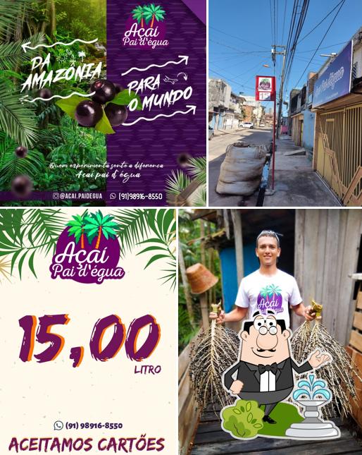 Açaí pai d'égua