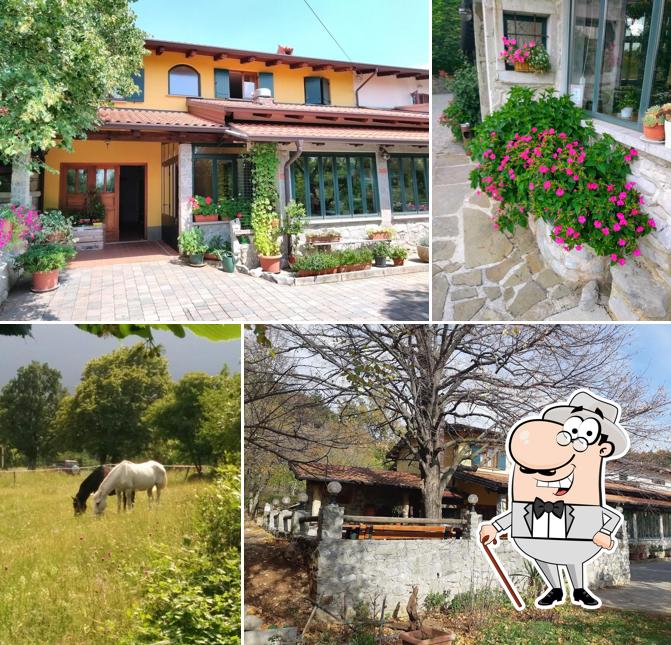 Franc Jelušič - Turistična kmetija pri Filetu