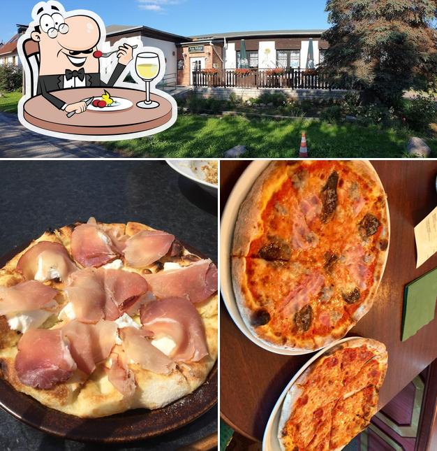 Am MOOR