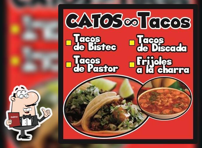 CATOS Tacos