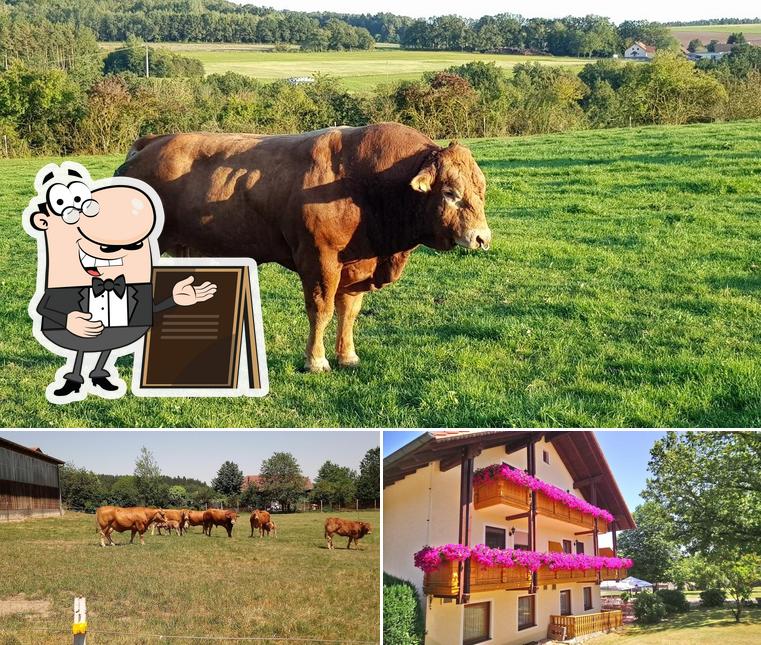 Landgasthof Pindl