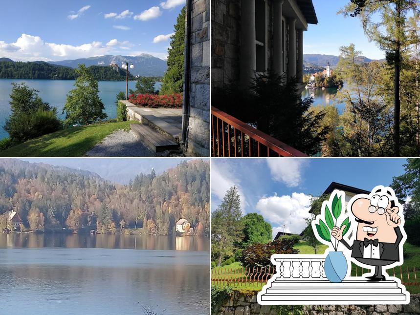Vila Bled