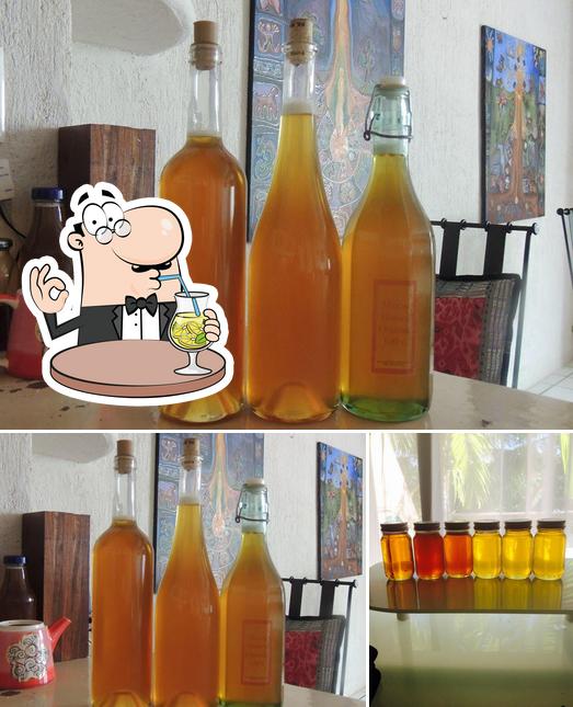 Mayan Honey