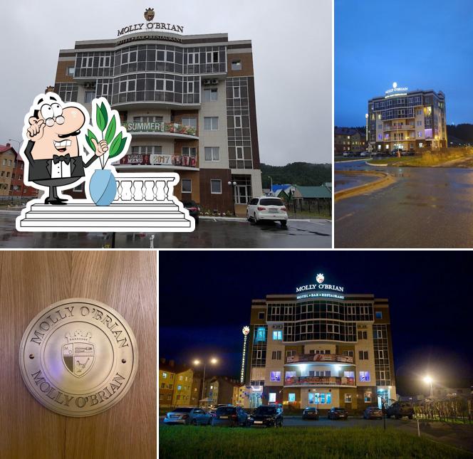 Молли О'Брайн