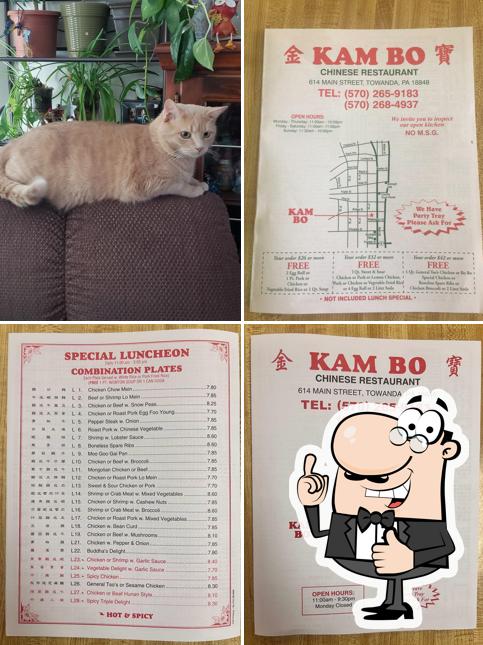 Kan Bo Chinese