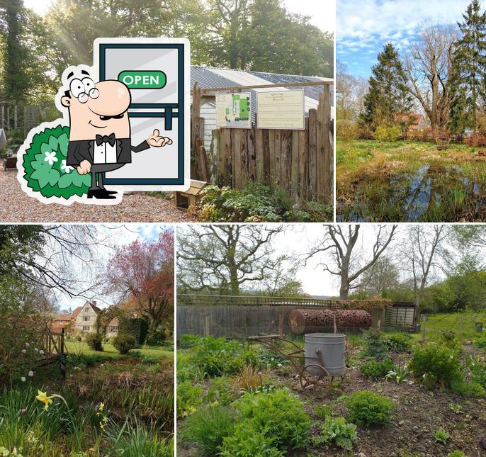 King John's Nursery and Garden