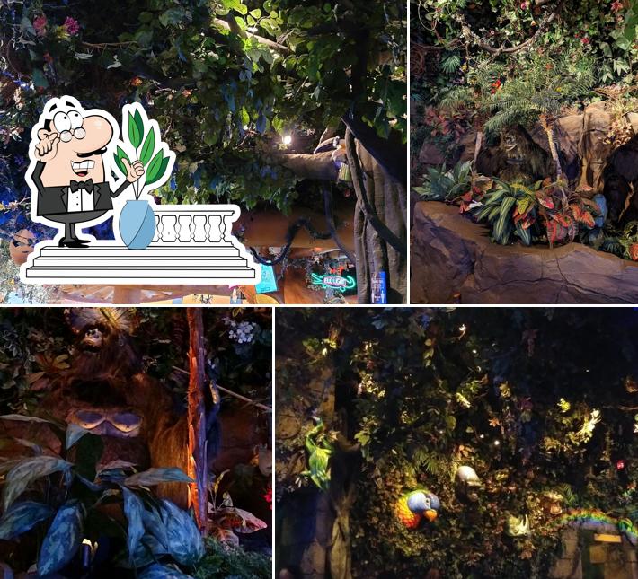 Rainforest Cafe