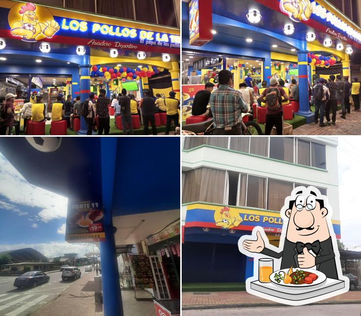 POLLOS DE LA TRI PUYO