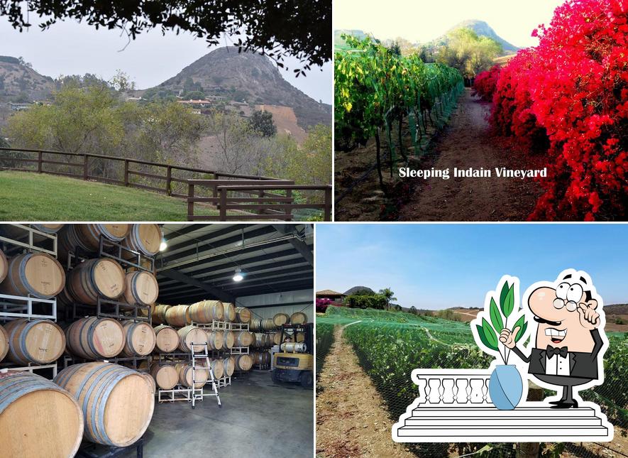 Sleeping Indian Vineyard