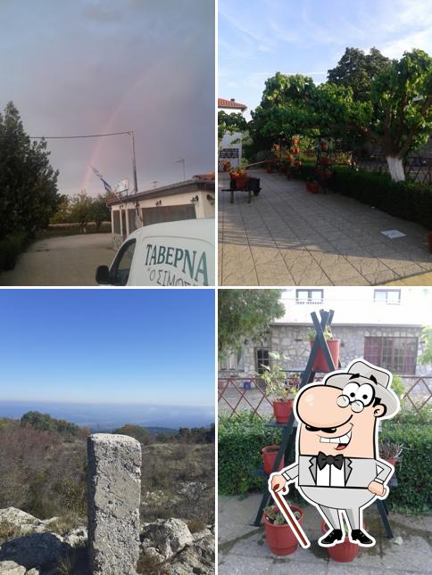 Simos Taverna * *