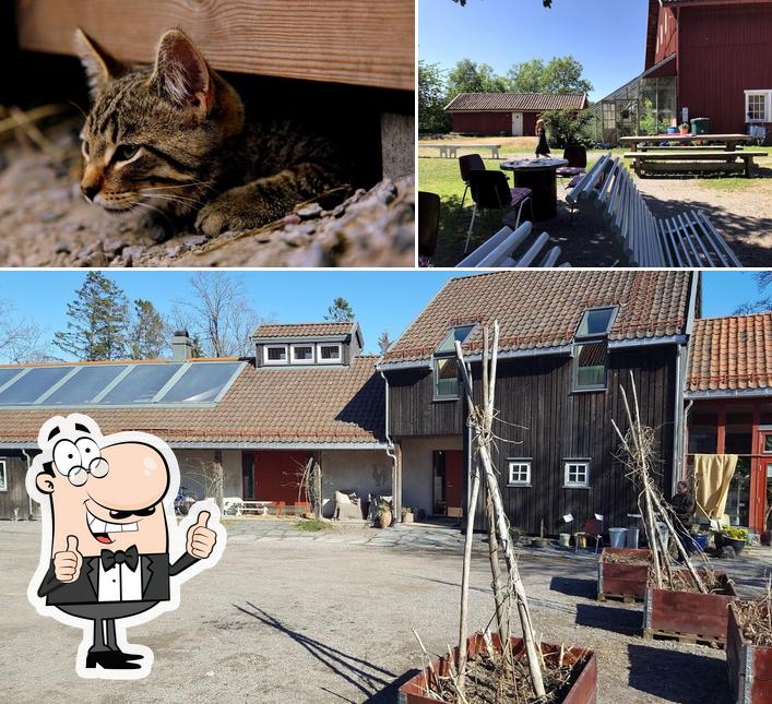 Holt Gård