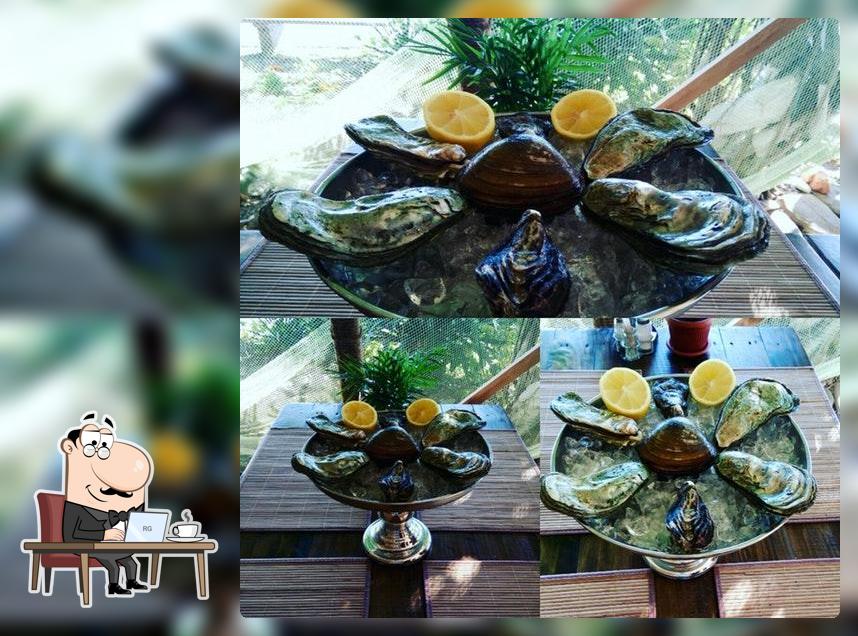 Кафе-Клуб "tortuga"