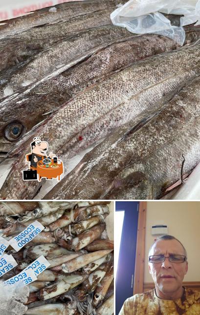 Seafood Ecosse Ltd