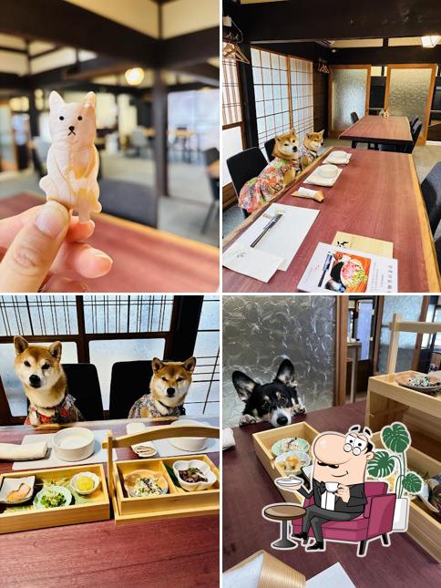 犬と人の和食 連