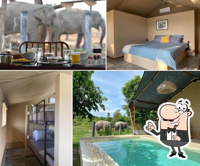 Elephant View Camp