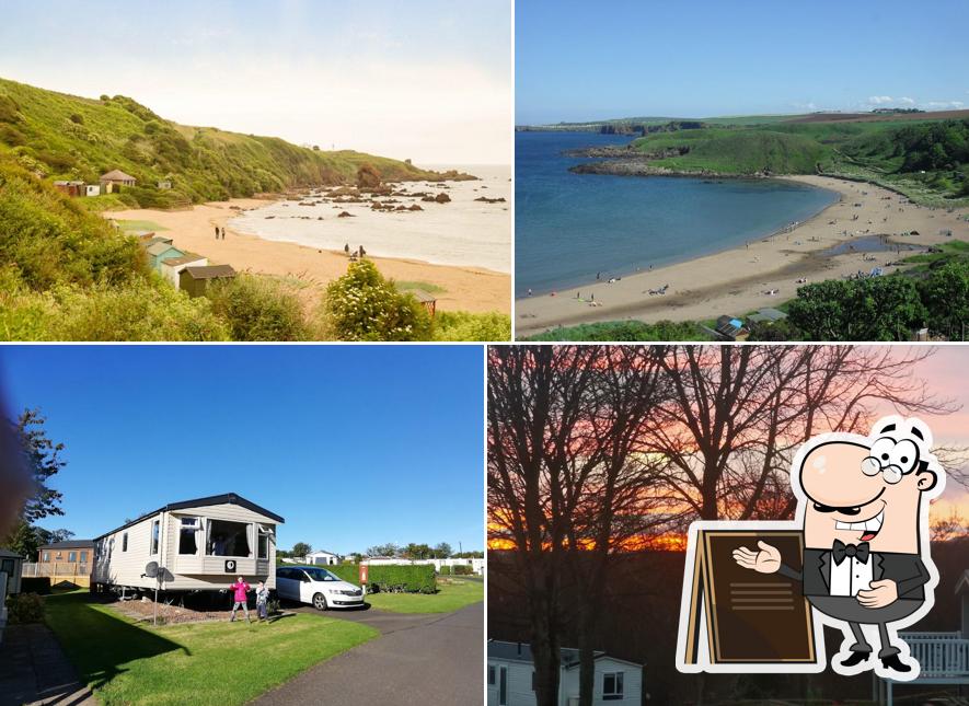 Coldingham Bay Leisure Park Verdant Leisure