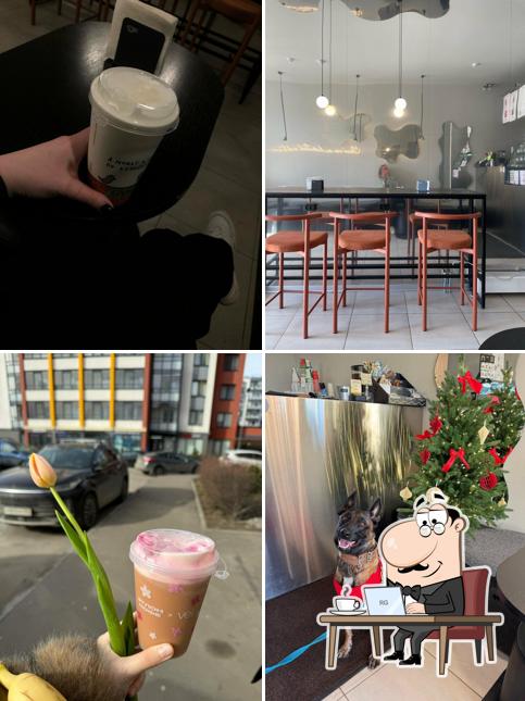 Etlon Coffee