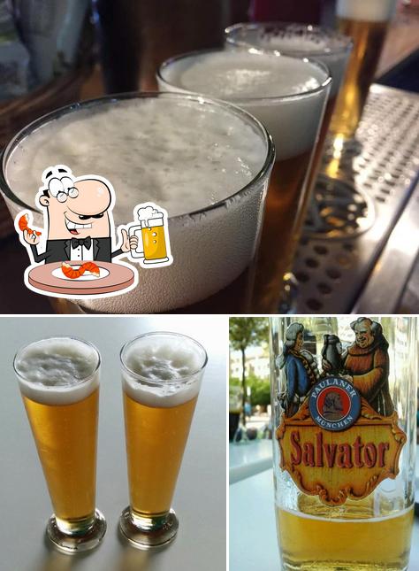 Cerveceria Feel The Music