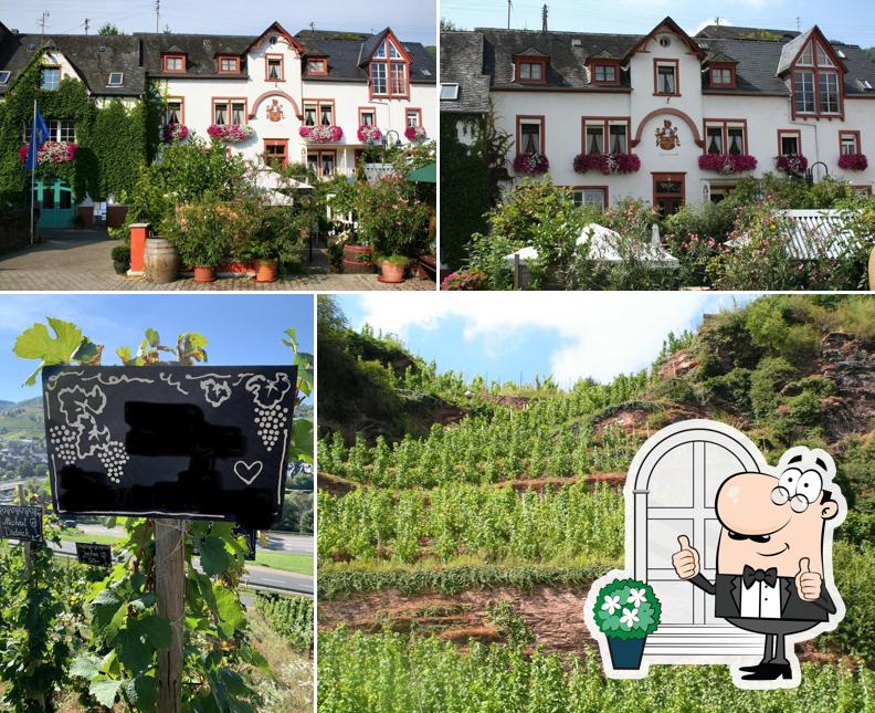 Weingut Julius Treis