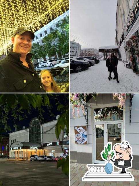 Внешнее оформление "Кипарис"