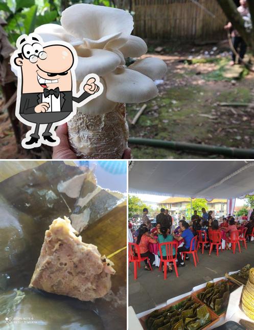 Jual Jamur Tabanan