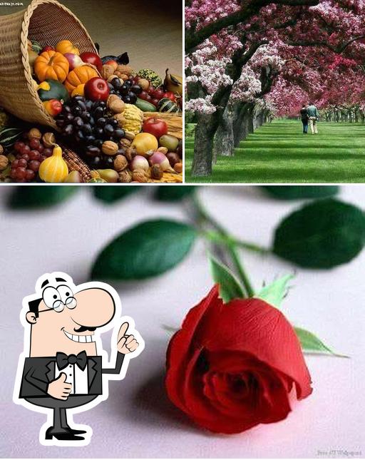 الطازج اوفر واسهل Helwan