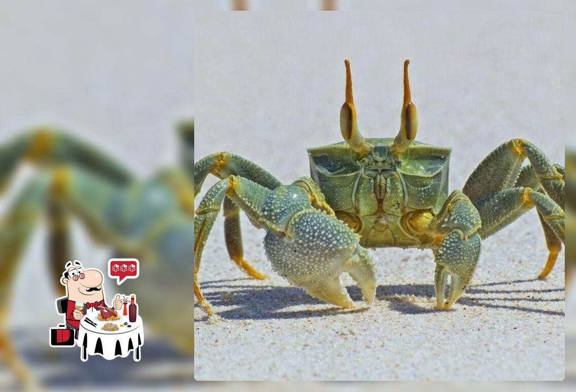 บ้านปูลม ระยอง หาดแม่รำพึง