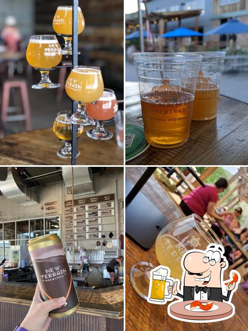 New Terrain Brewing Company