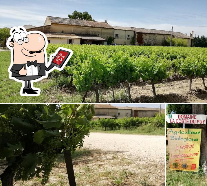 Domaine la Coste du Puy