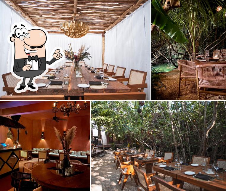 IT Tulum