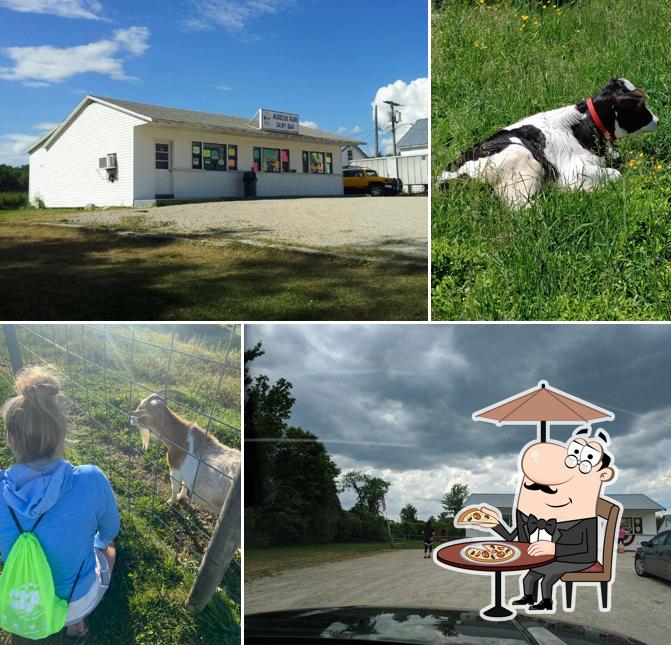Murdock Dairy Farm