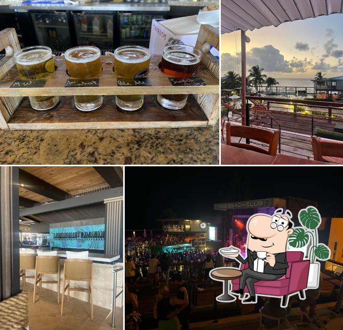 Ocean Lab Brewing Co.