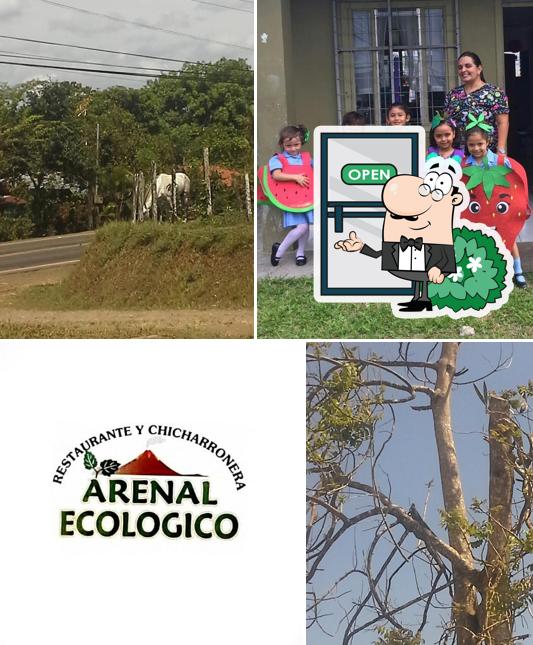 Arenal Ecológico