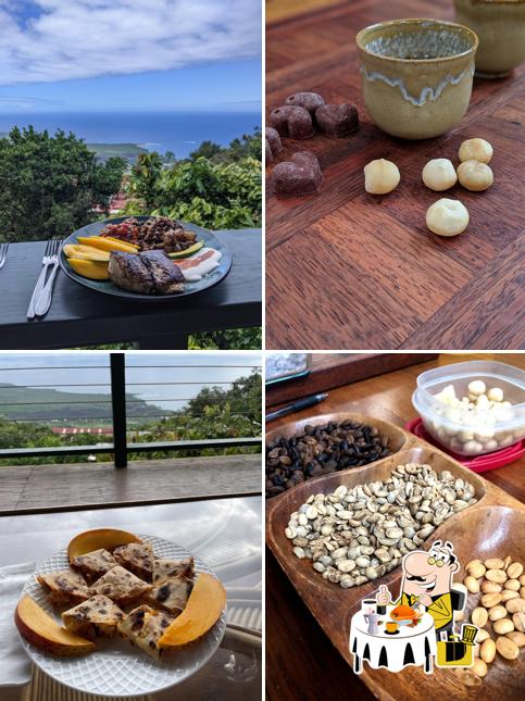 Sacred Grounds Coffee Farm
