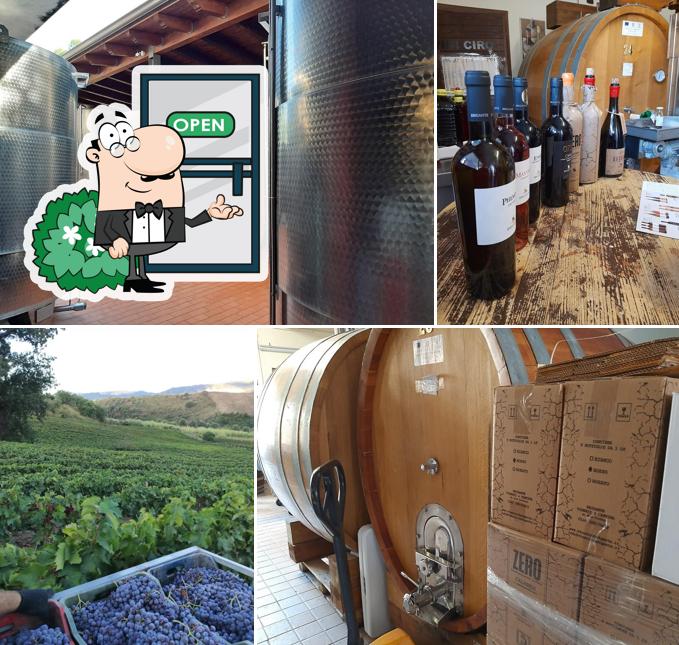 Brigante Vigneti & Cantina