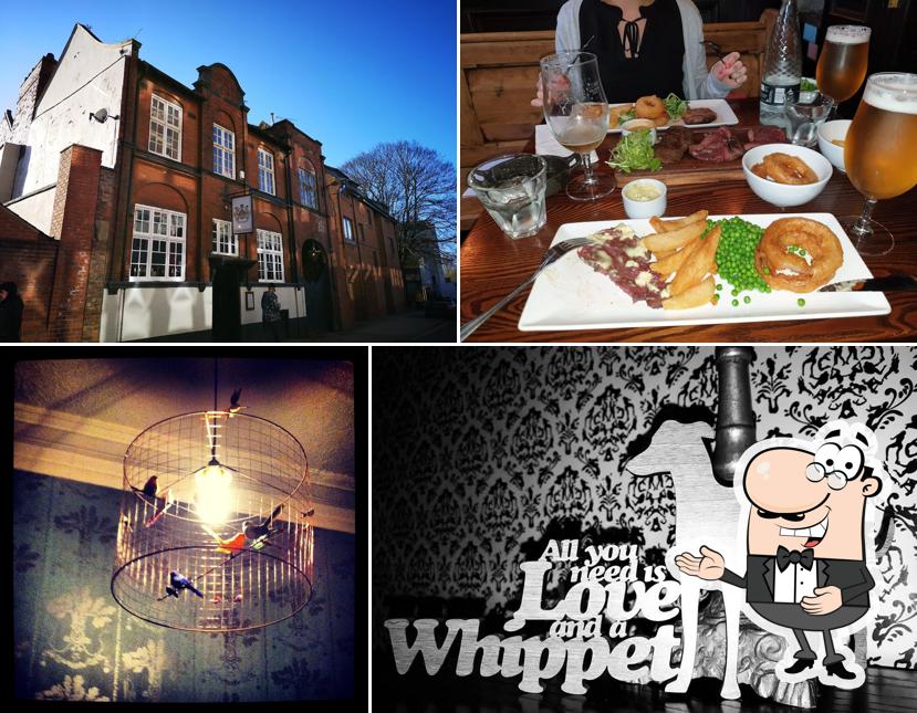 The Whippet Inn